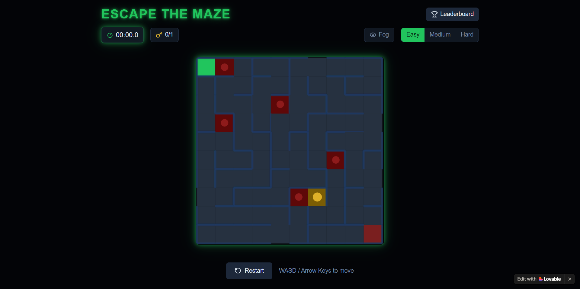Maze Puzzle Experience